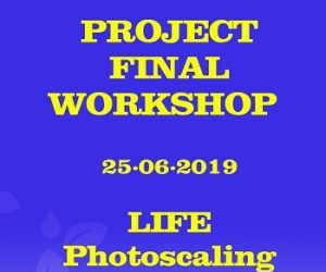 (Videos) All the Project Final Workshop Presentations