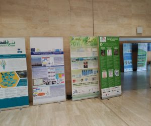 LIFE-PhotoScaling project presented in 13th PTEC Forum