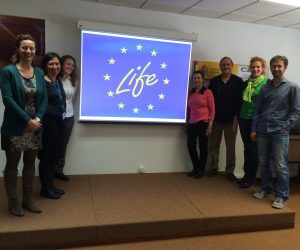 Marta Castellote takes part in a Networking session with LIFE-MiNOx and LIFE-EquiNOx