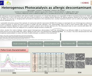 Heterogeneous Photocatalysis as Allergic Decontaminant
